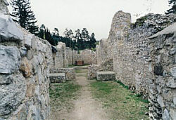 Klatorisko - ruiny klasztoru Kartuzw